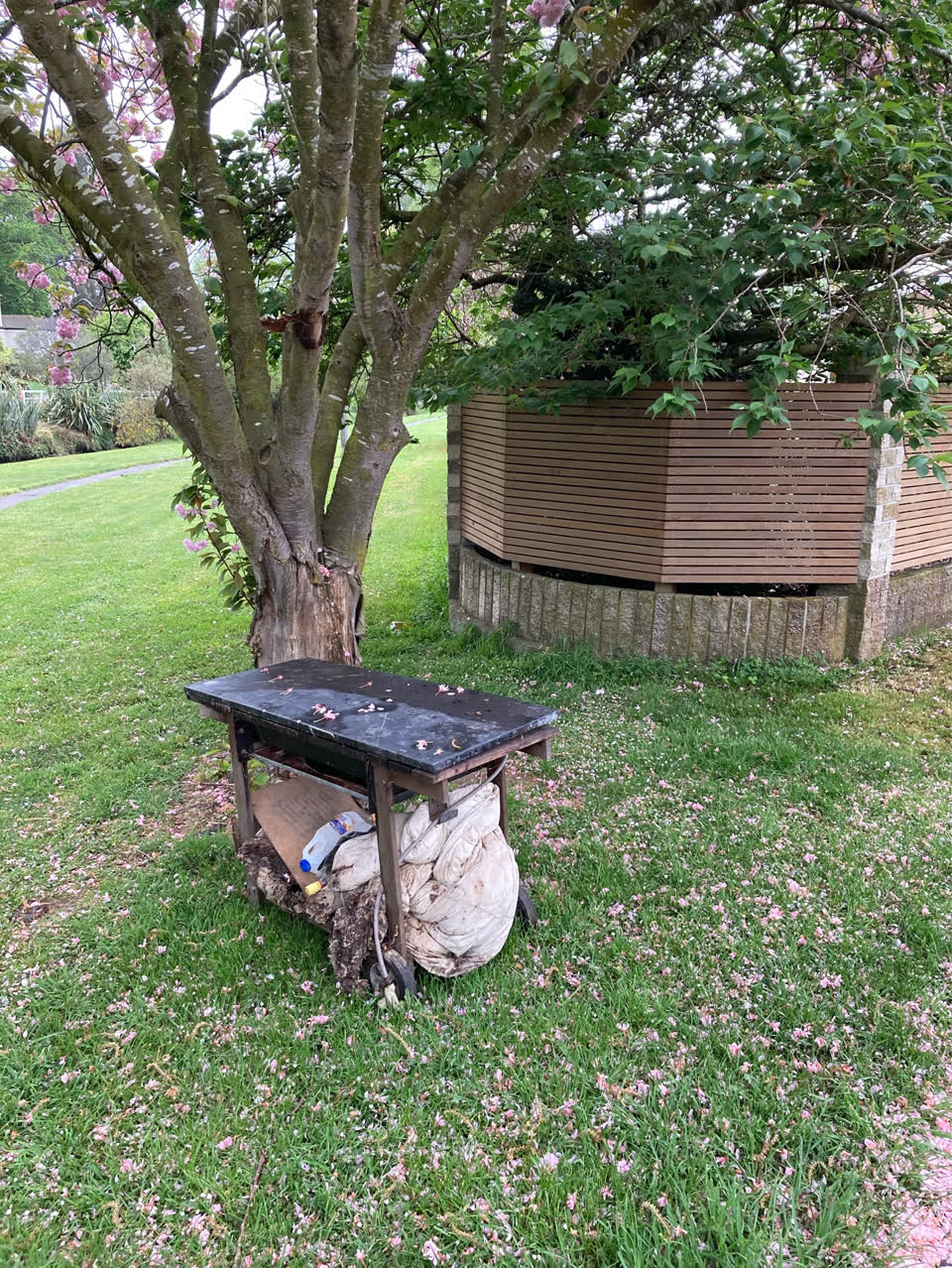 The photograph attached to this dumped rubbish report