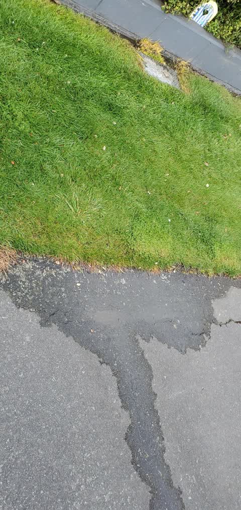 Water Leak, a report photo