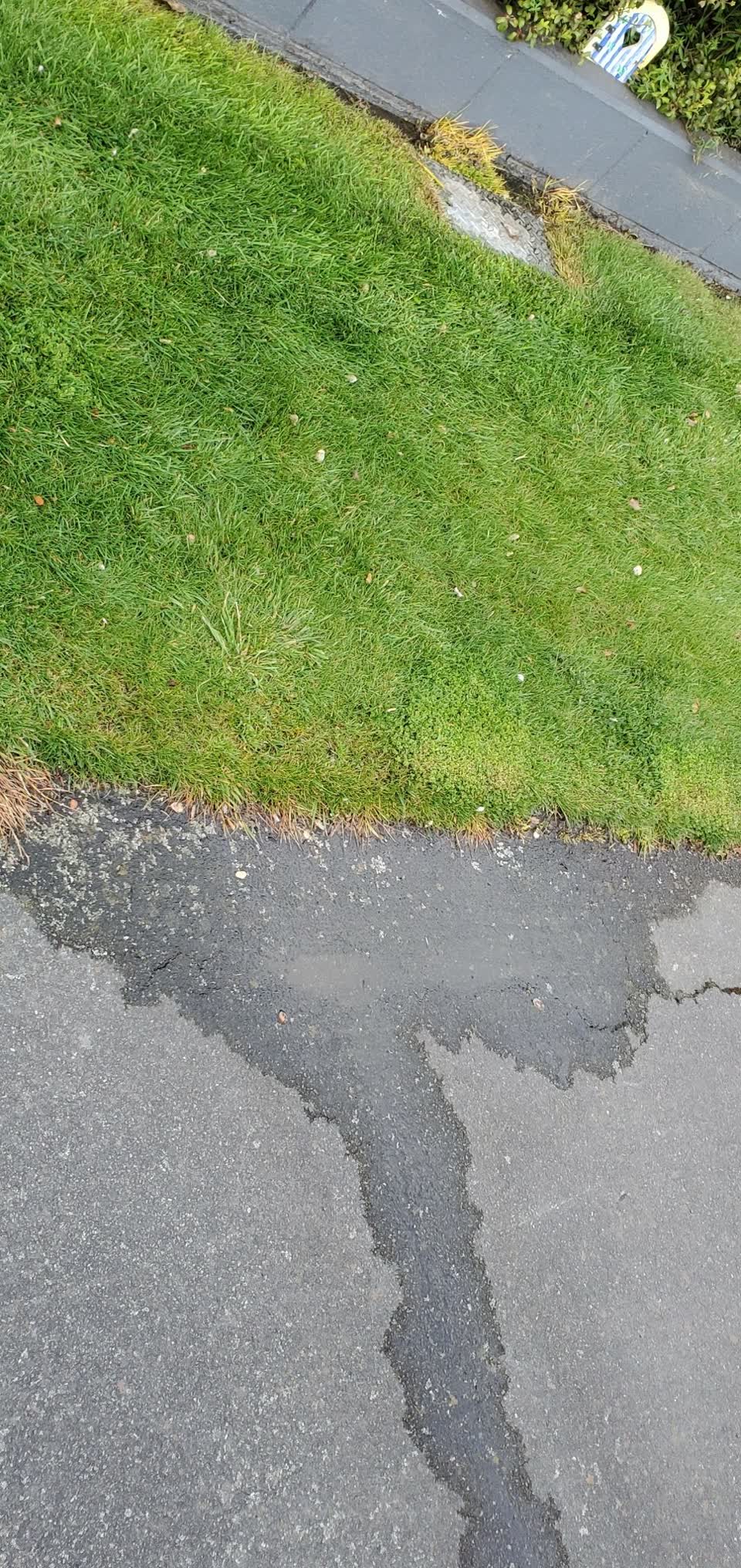 The photograph attached to this water leak report