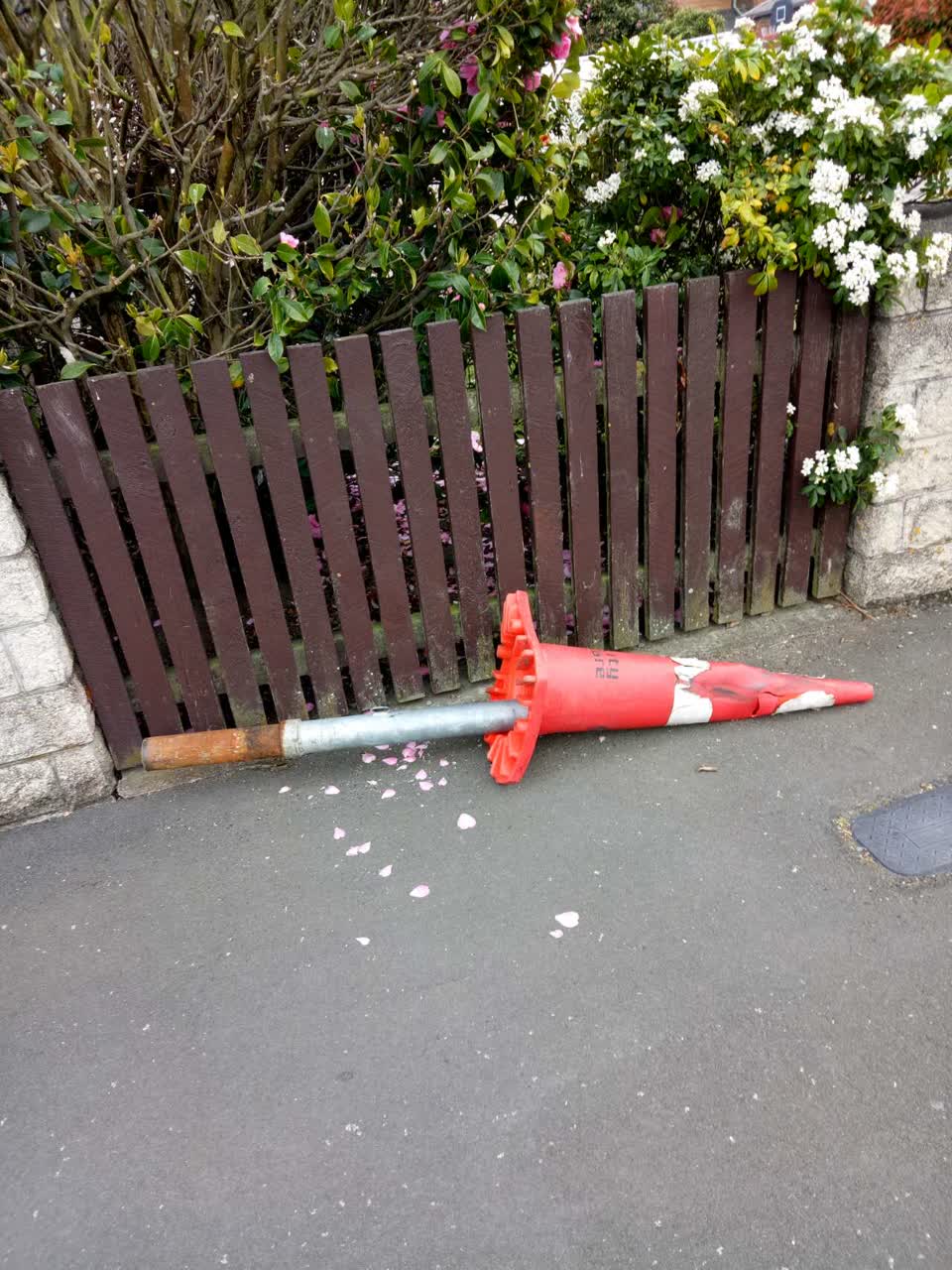 The photograph attached to this vandalism - general report