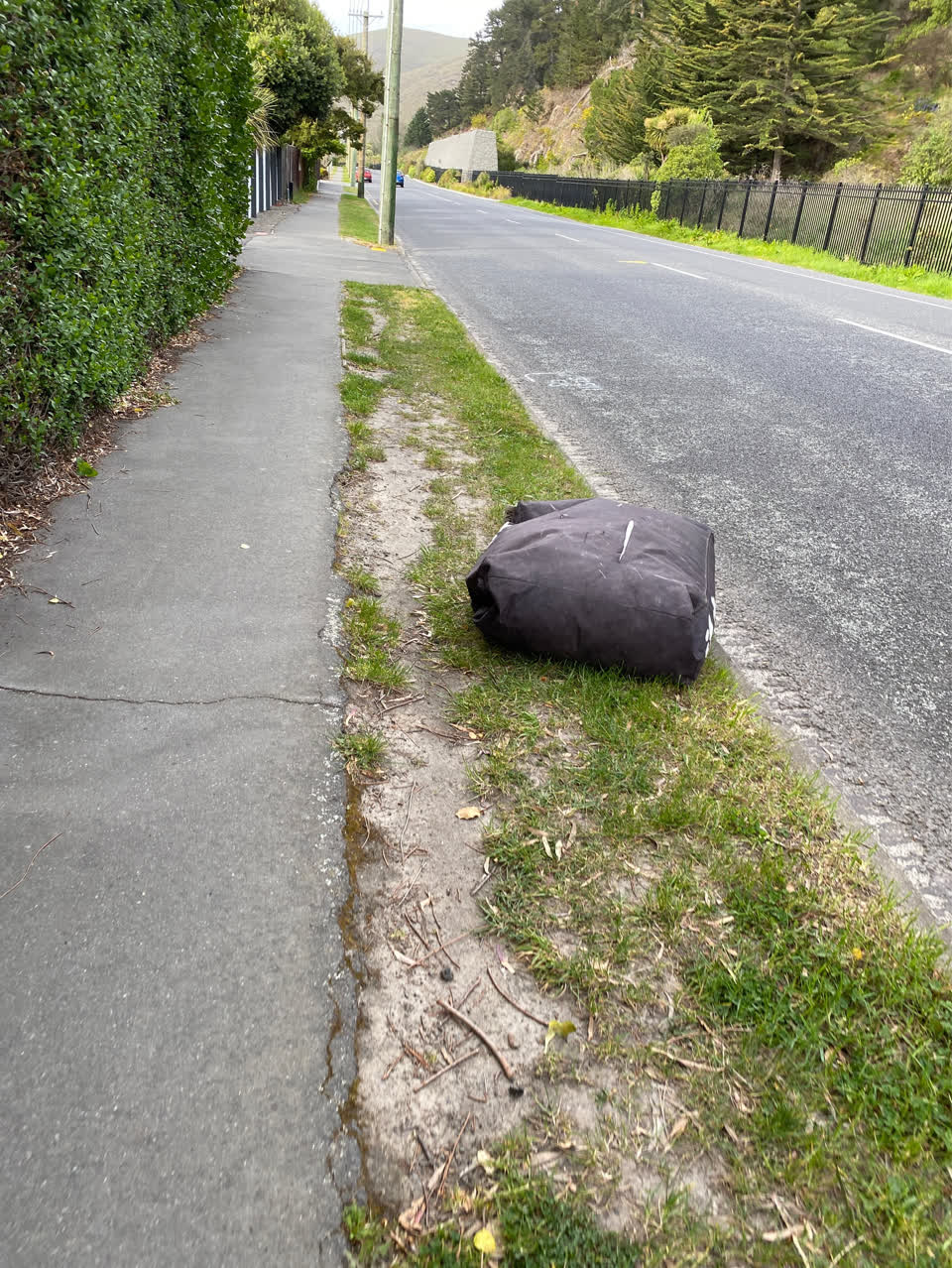 The photograph attached to this dumped rubbish report