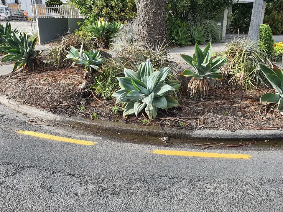 The photograph attached to this water leak report
