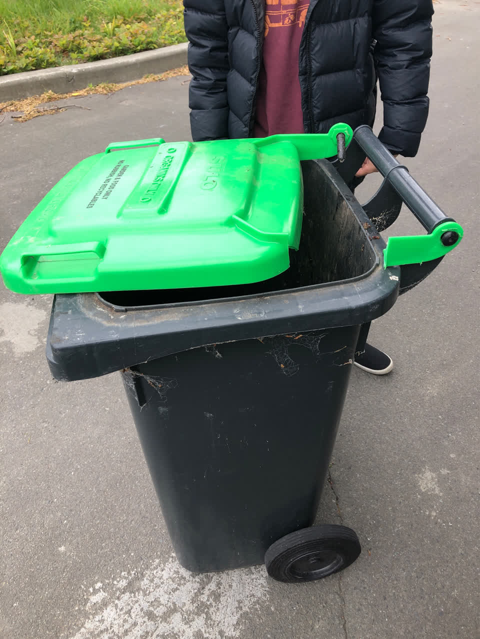 The photograph attached to this rubbish and bins - general report