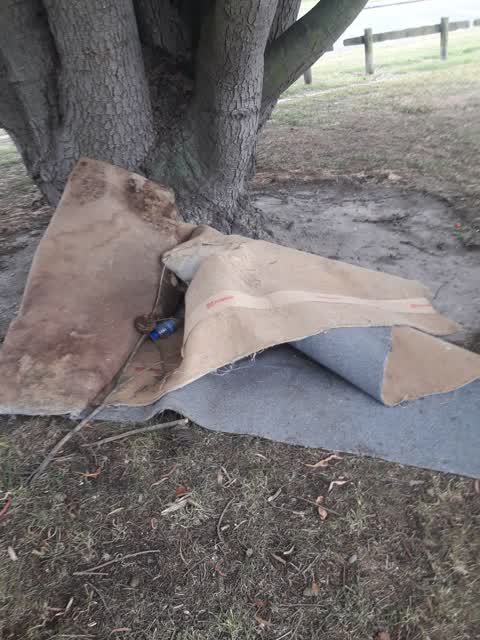 Dumped Rubbish, a report photo