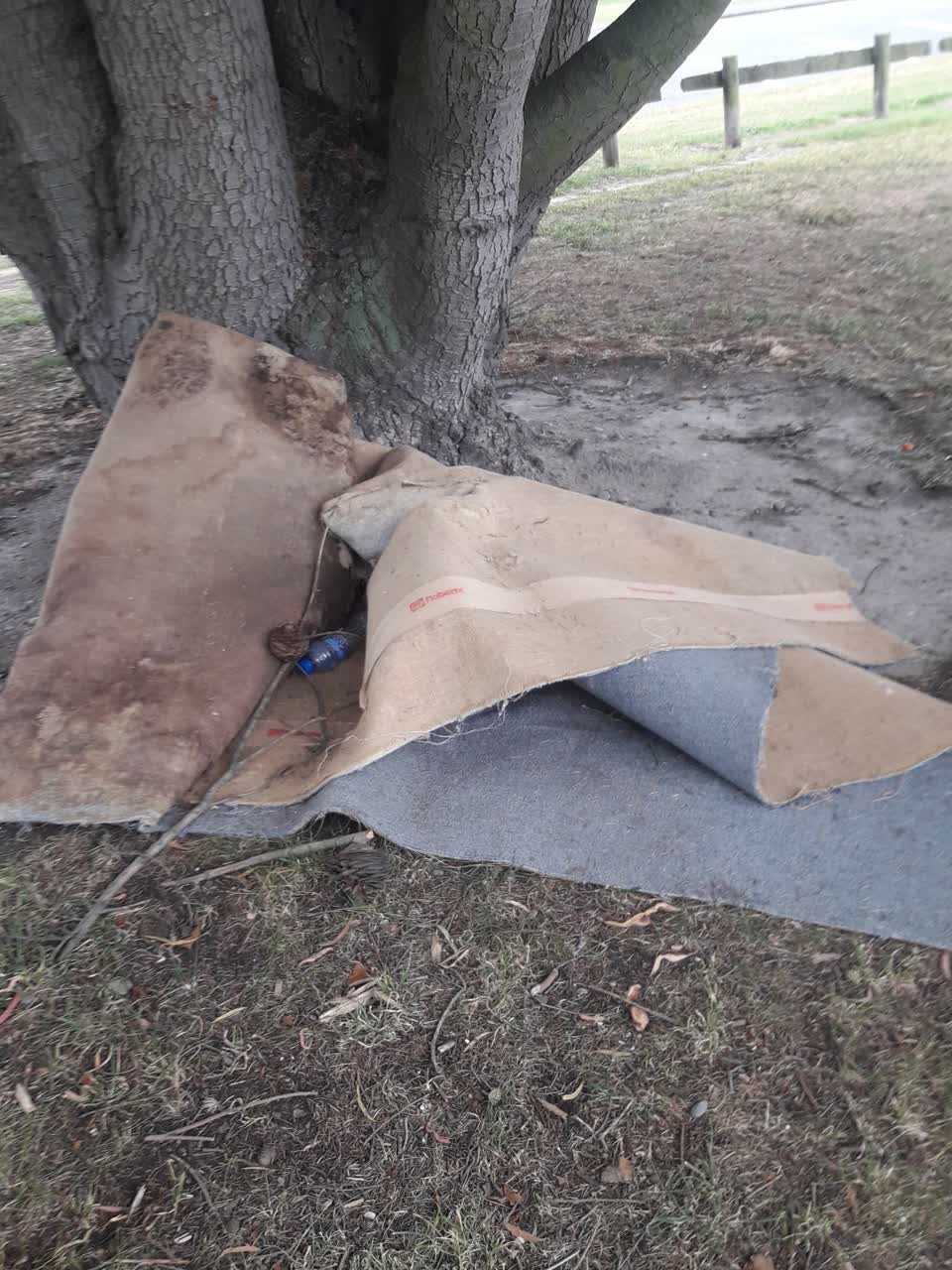 The photograph attached to this dumped rubbish report