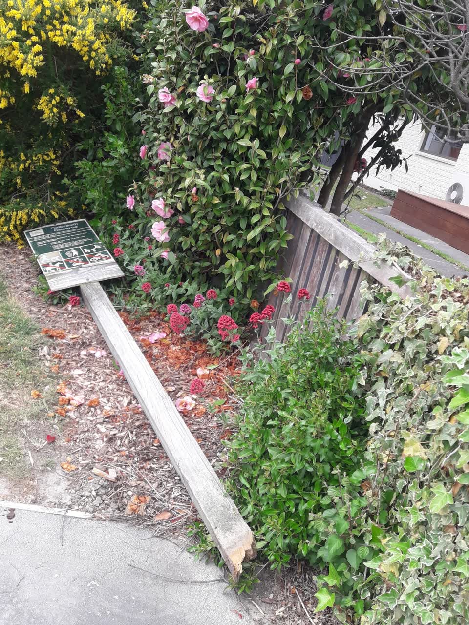 The photograph attached to this parks report