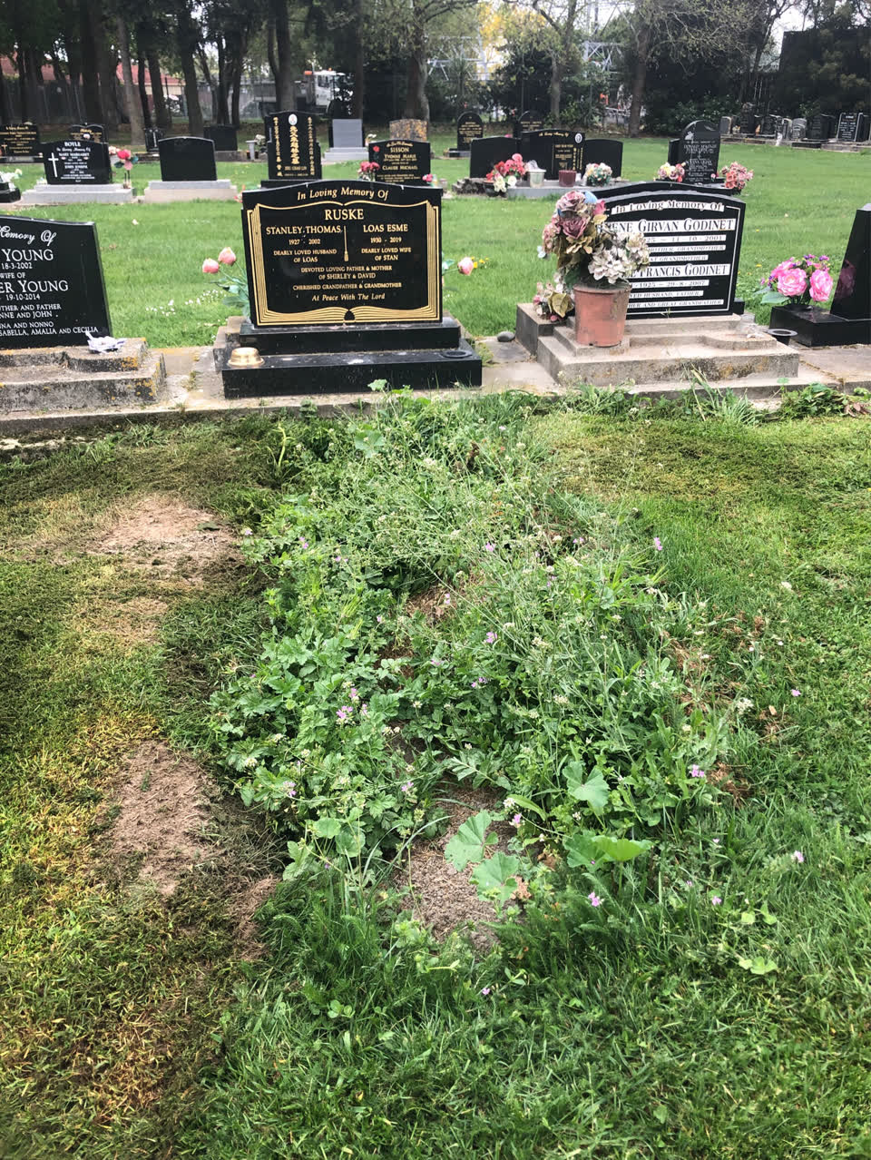 The photograph attached to this parks report