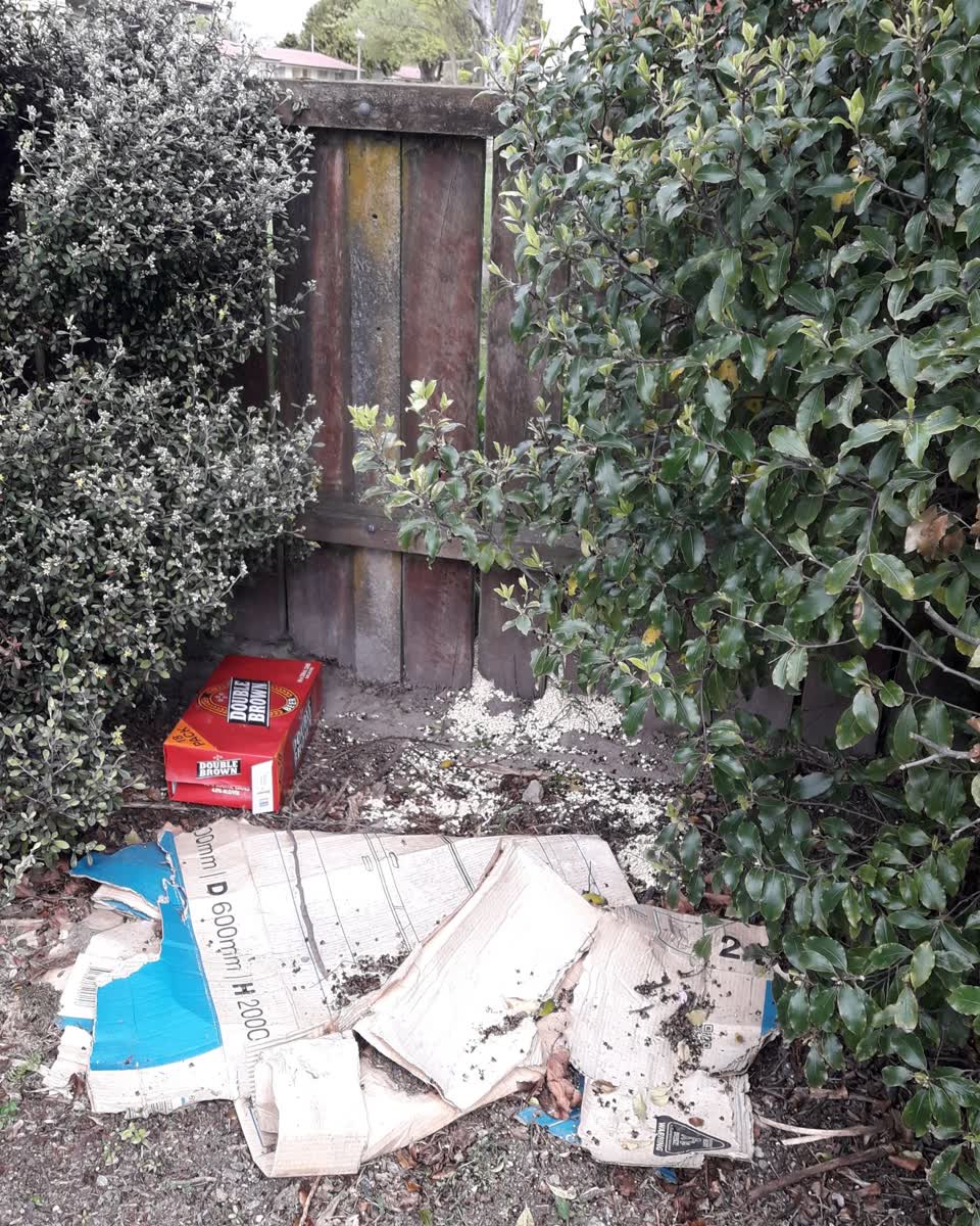 The photograph attached to this parks report