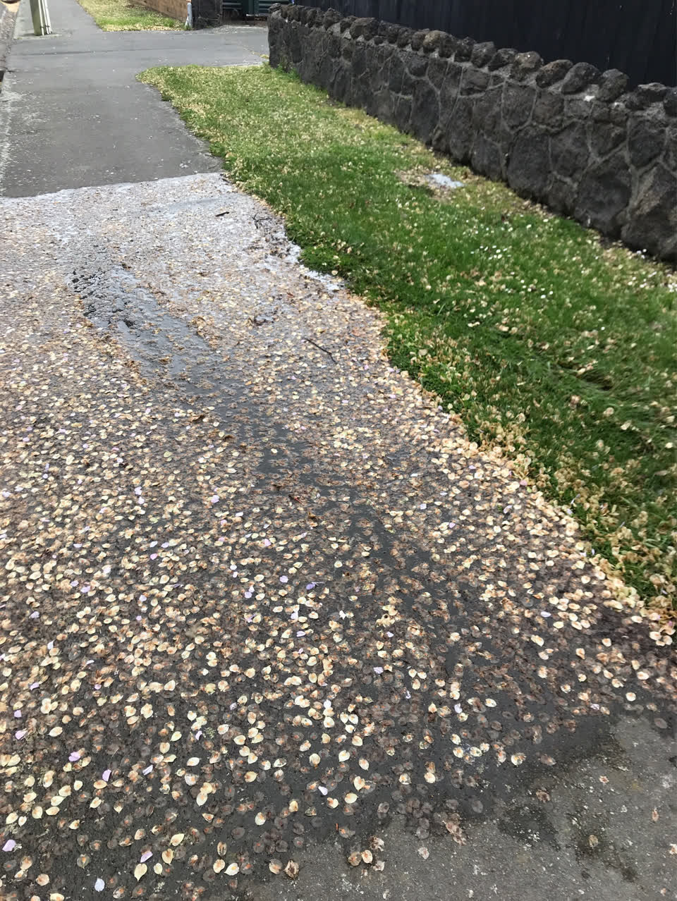 The photograph attached to this water leak report