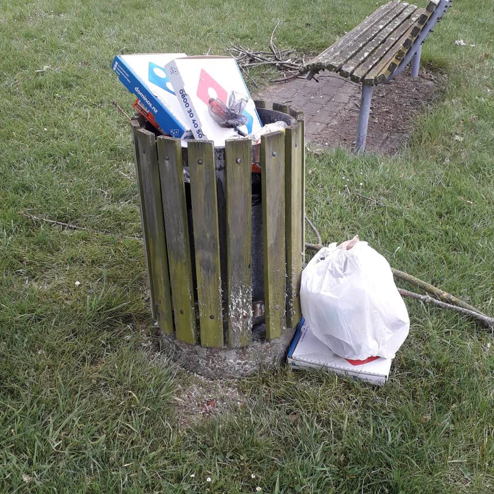 The photograph attached to this rubbish and bins - general report
