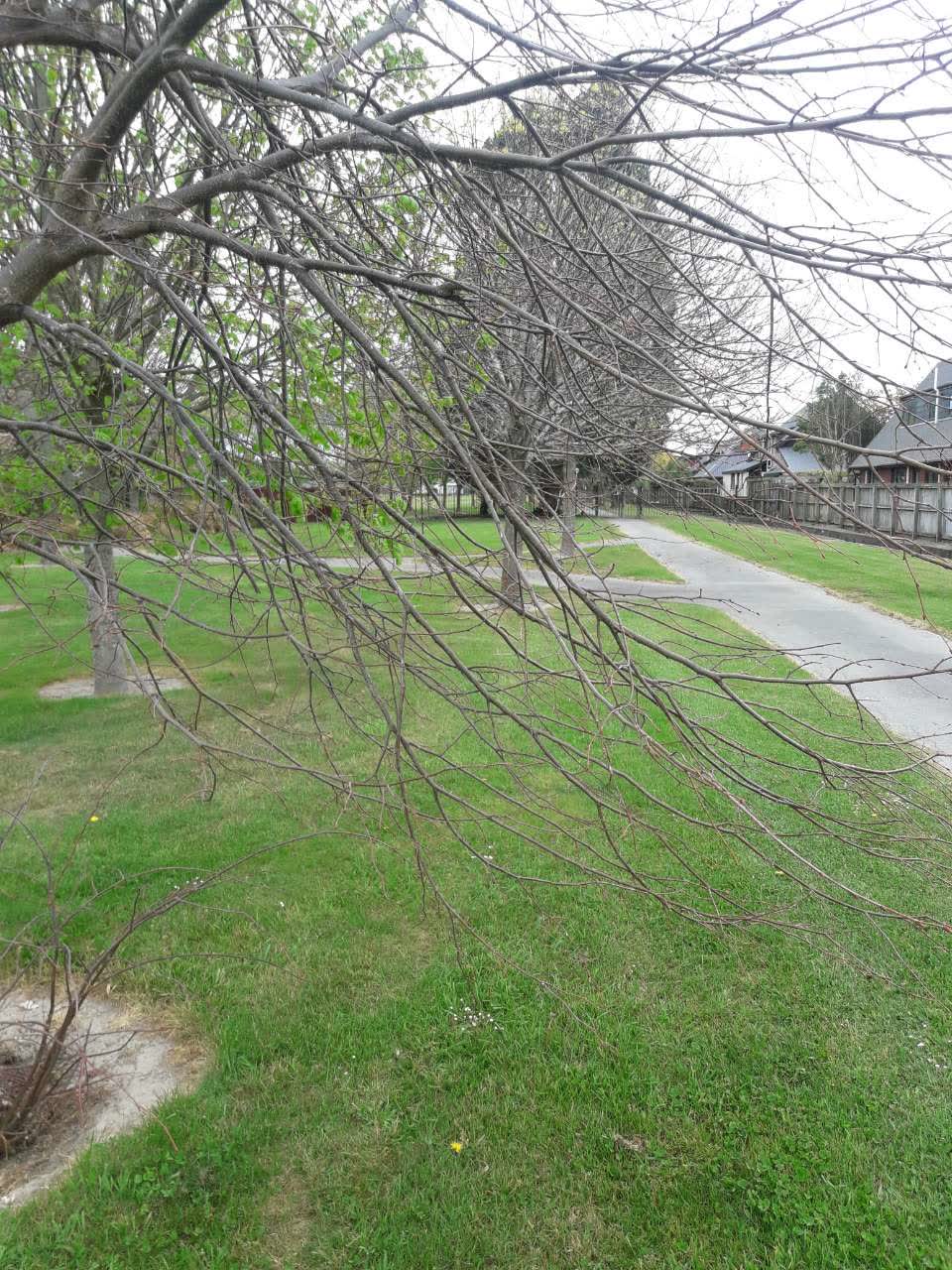 The photograph attached to this parks report