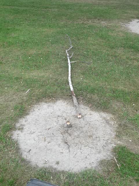 Parks, a report photo