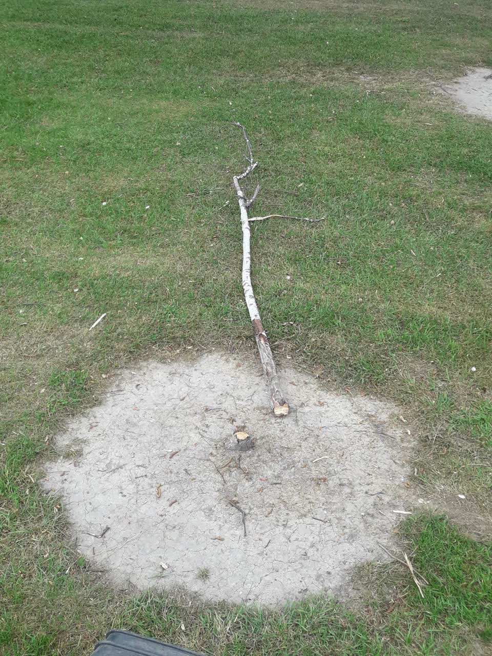 The photograph attached to this parks report