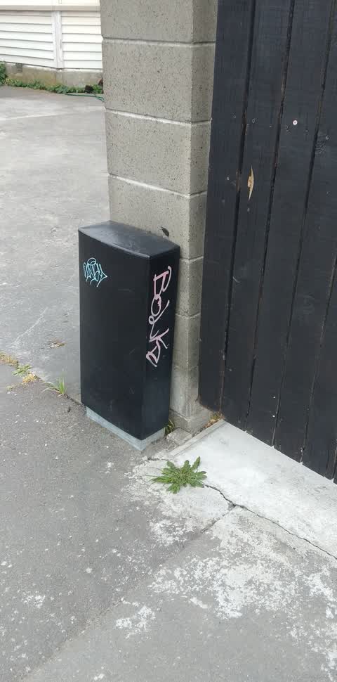 Graffiti, a report photo