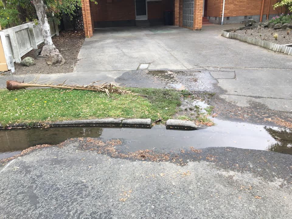 The photograph attached to this water leak report