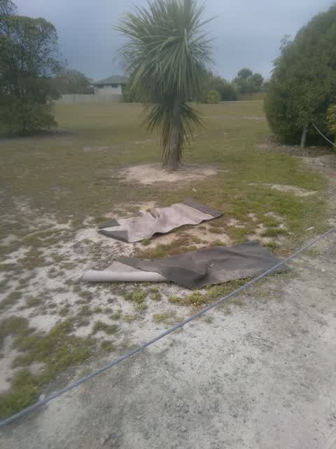 Dumped Rubbish, a report photo