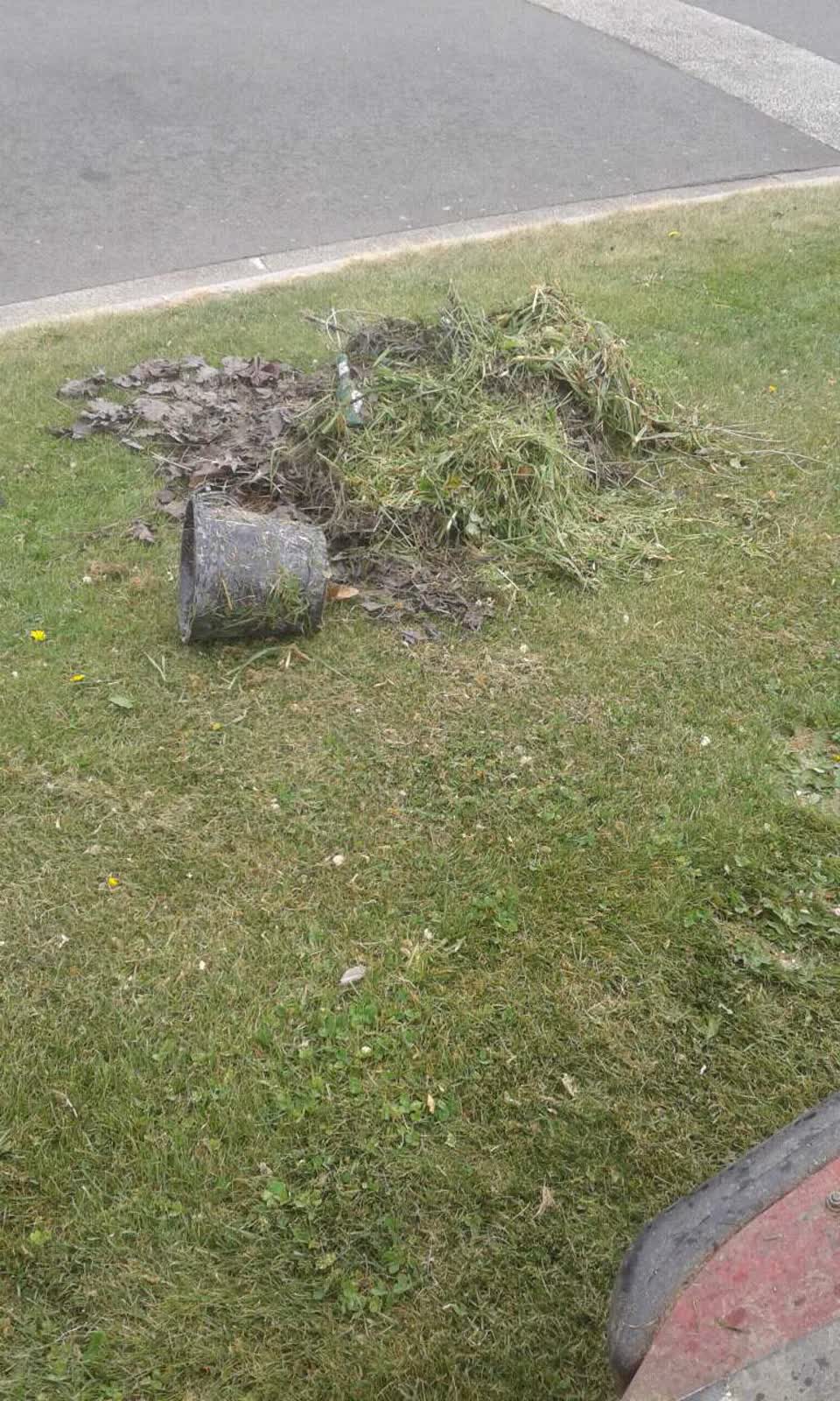 The photograph attached to this parks report