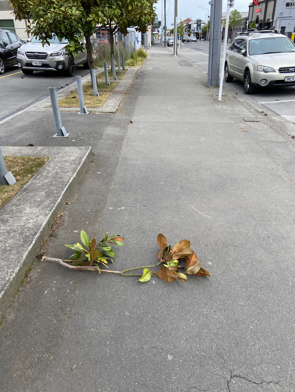 The photograph attached to this road blockage report
