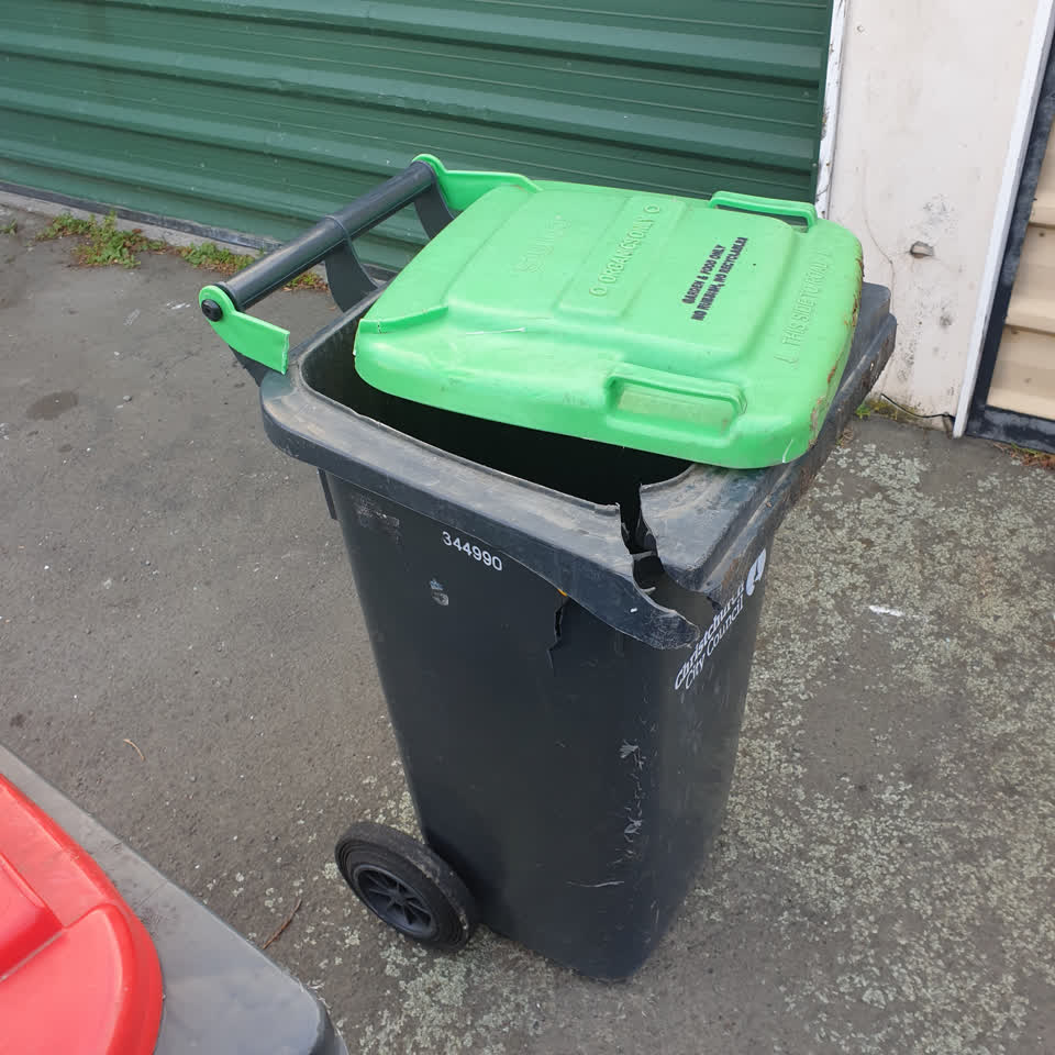The photograph attached to this rubbish and bins - general report