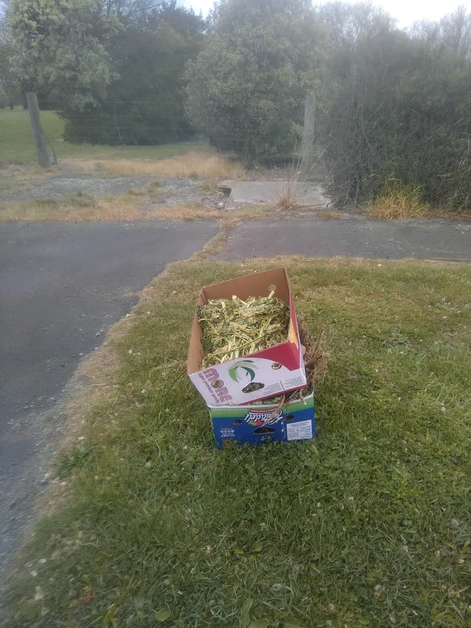 The photograph attached to this dumped rubbish report
