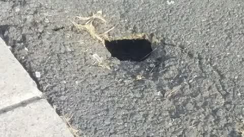 Pavement - Damaged, a report photo