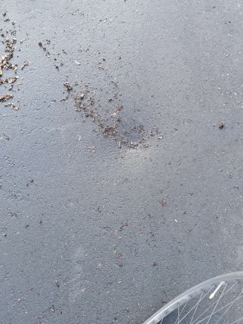 Pothole, a report photo