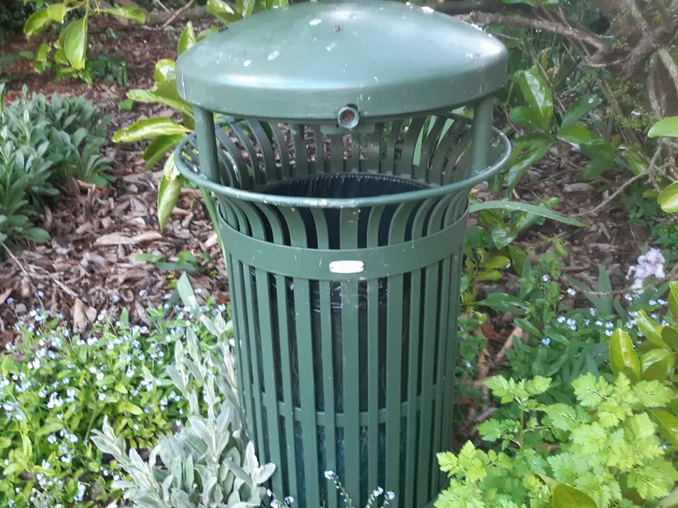 The photograph attached to this rubbish and bins - general report