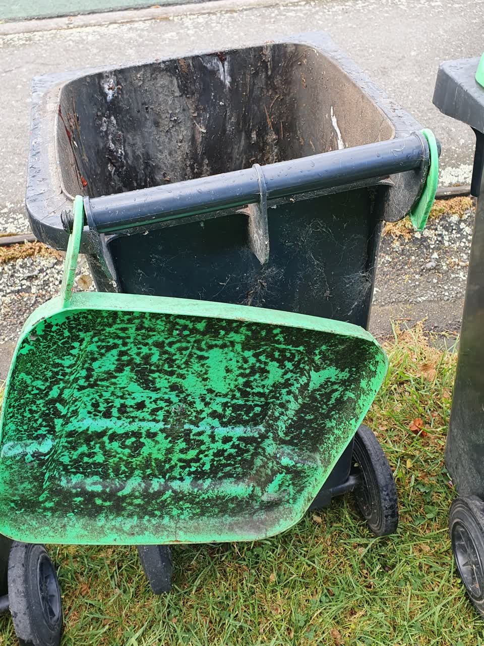 The photograph attached to this rubbish and bins - general report
