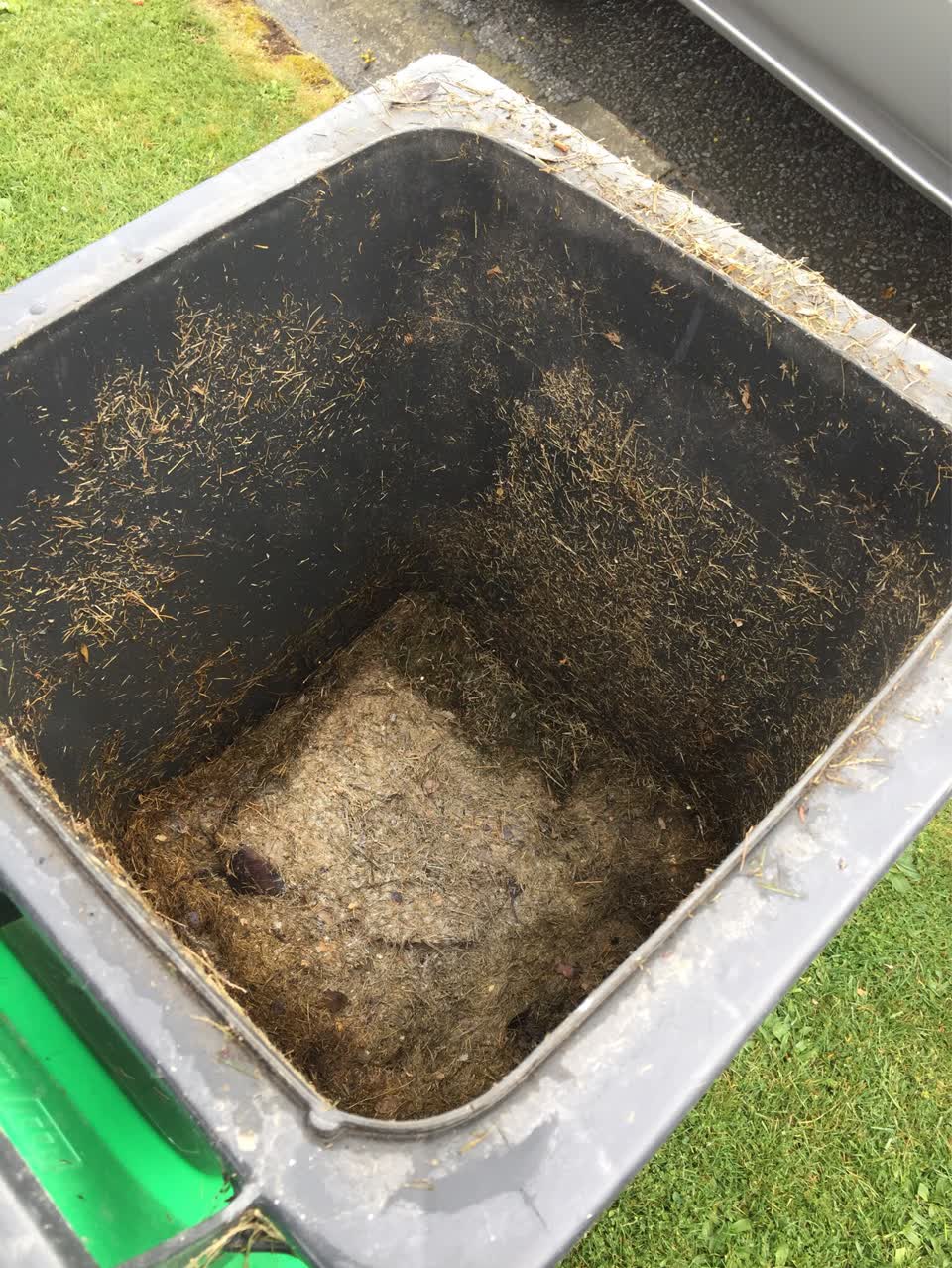 The photograph attached to this rubbish and bins - general report