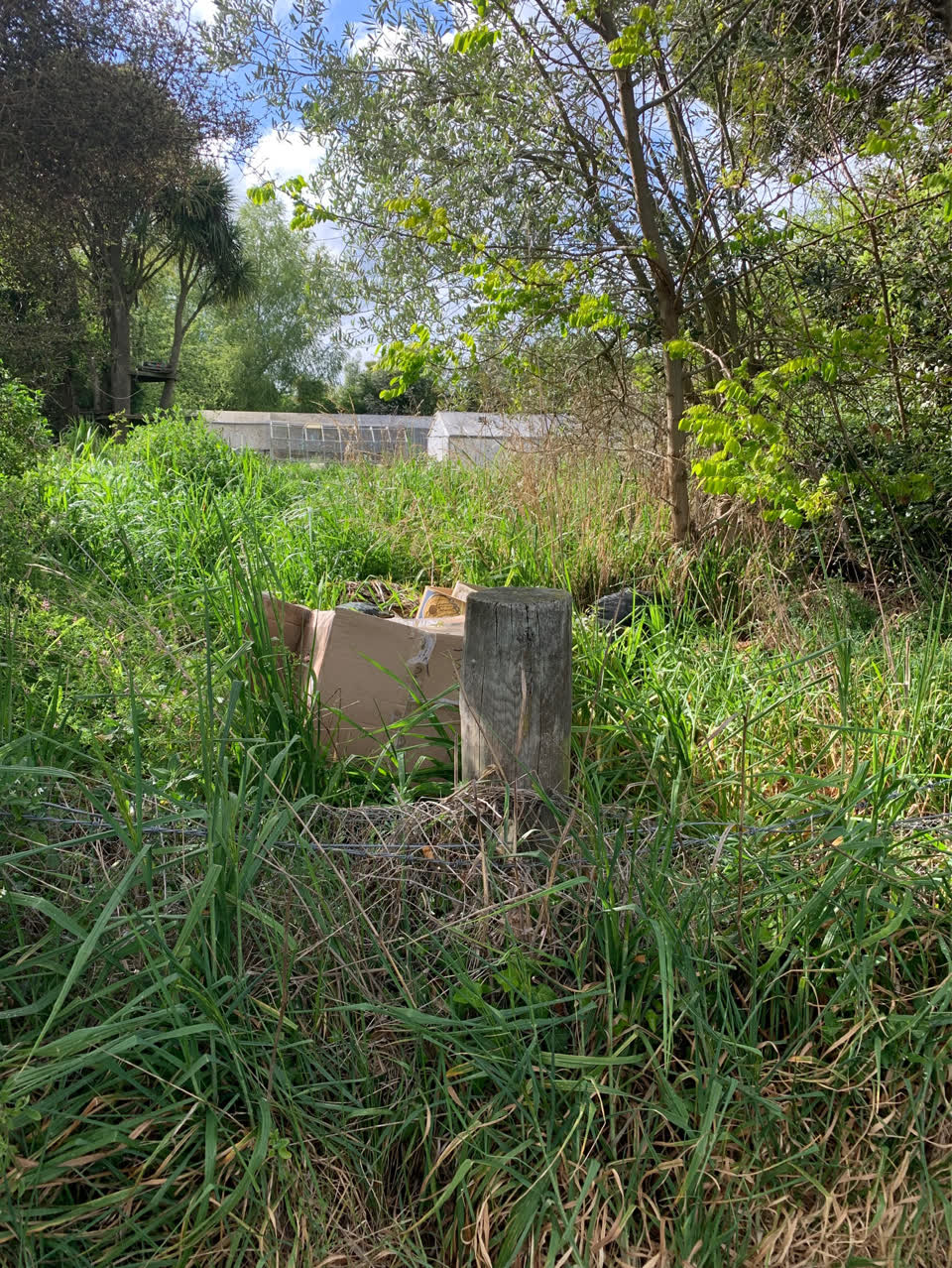 The photograph attached to this dumped rubbish report