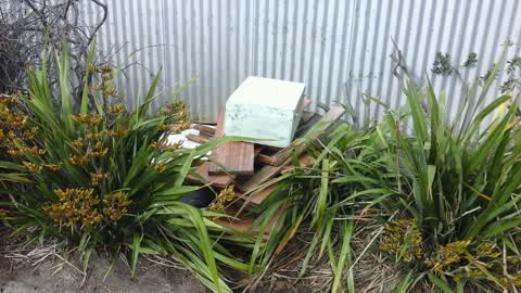 Dumped Rubbish, a report photo