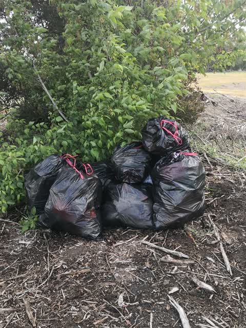 Dumped Rubbish, a report photo