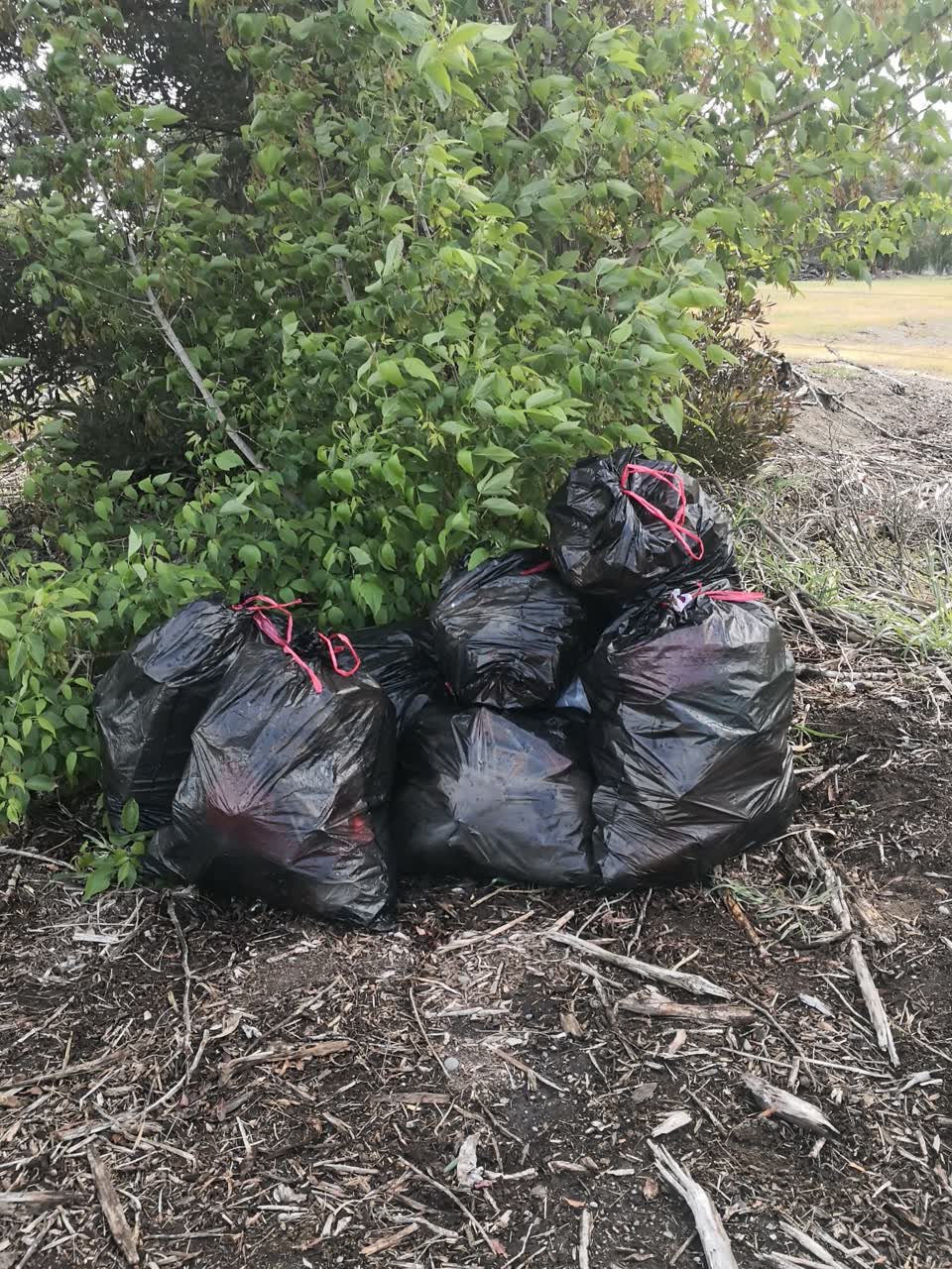 The photograph attached to this dumped rubbish report