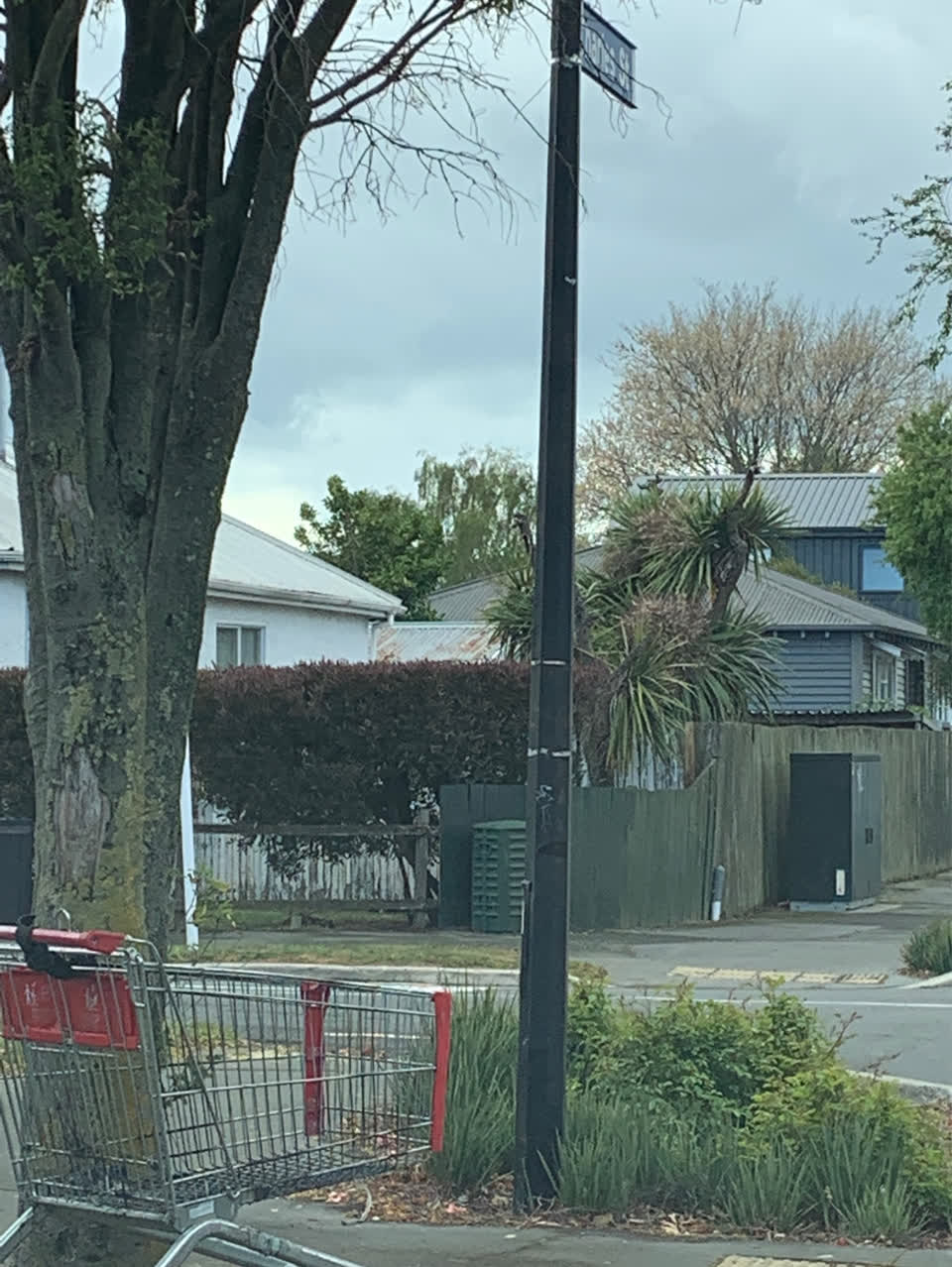 The photograph attached to this general - abandoned trolley report
