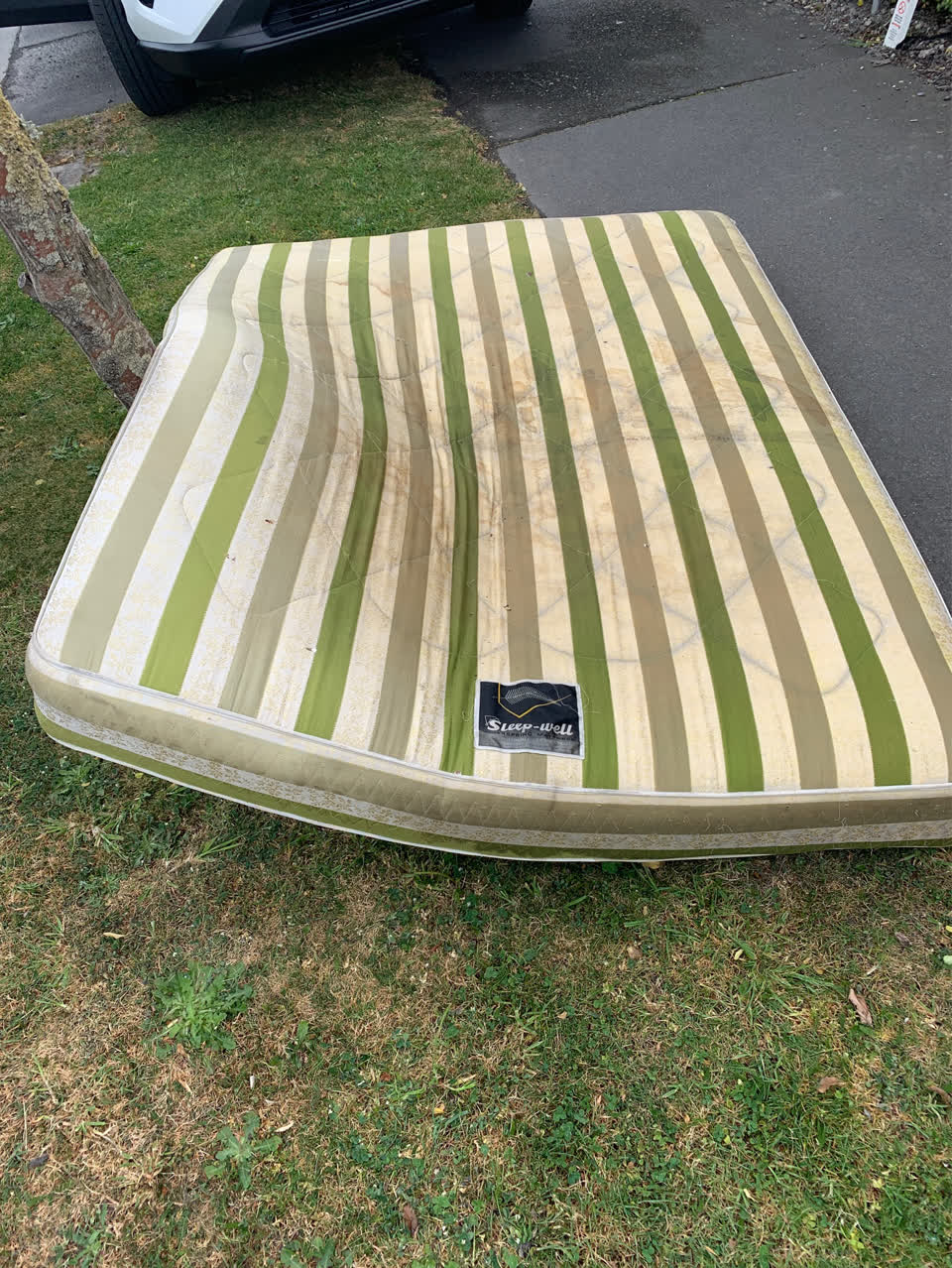 The photograph attached to this dumped rubbish report