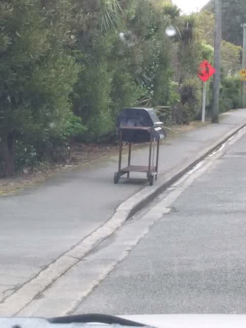 Rubbish and Bins - General, a report photo