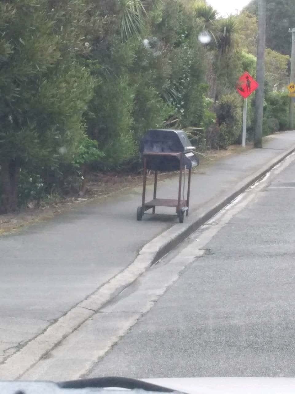 The photograph attached to this rubbish and bins - general report