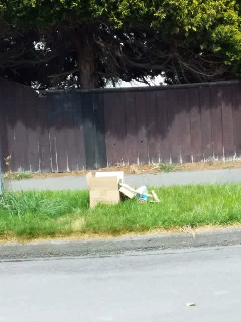 Dumped Rubbish, a report photo