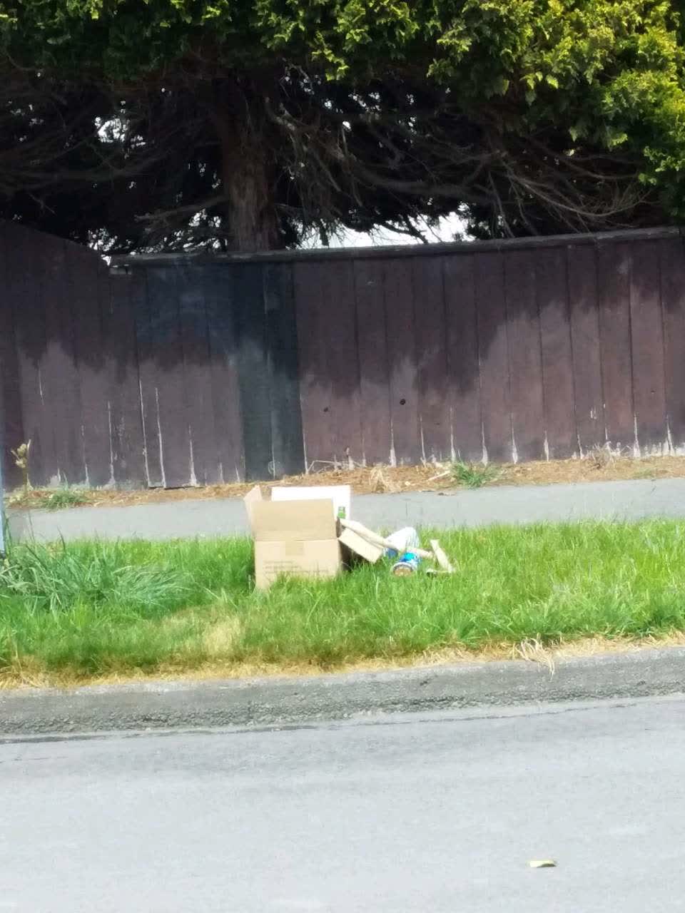 The photograph attached to this dumped rubbish report