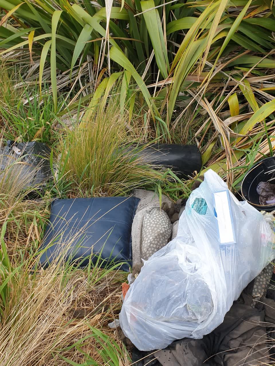 The photograph attached to this dumped rubbish report