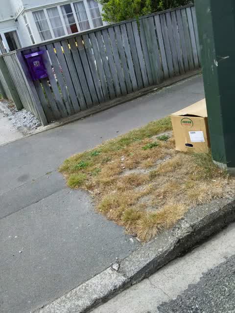 Rubbish and Bins - General, a report photo