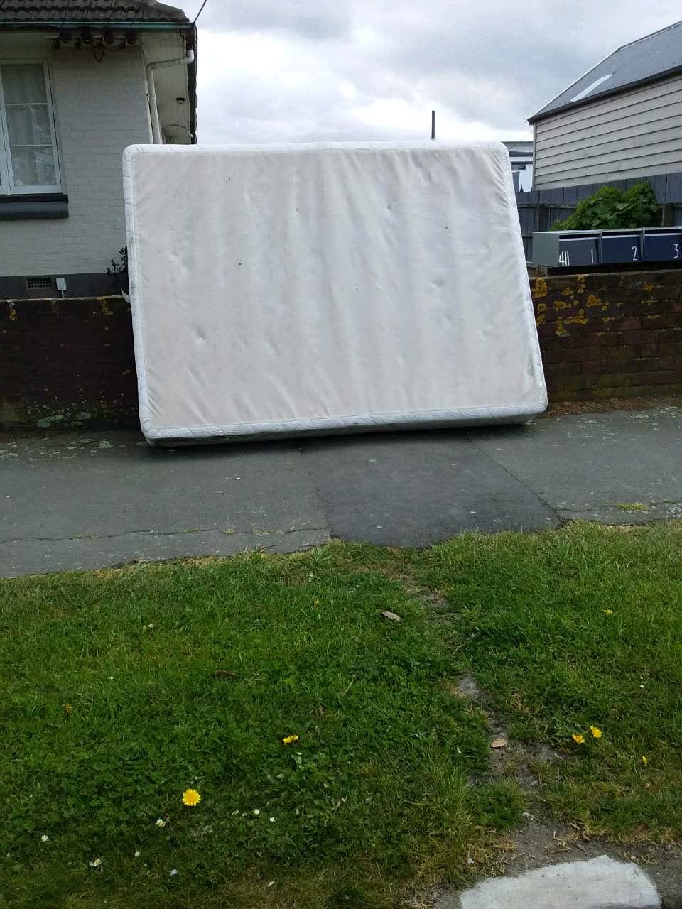 The photograph attached to this rubbish and bins - general report