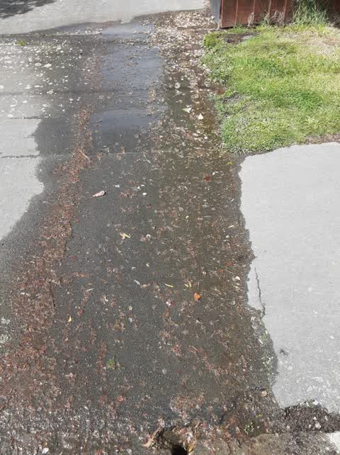 Water Leak, a report photo
