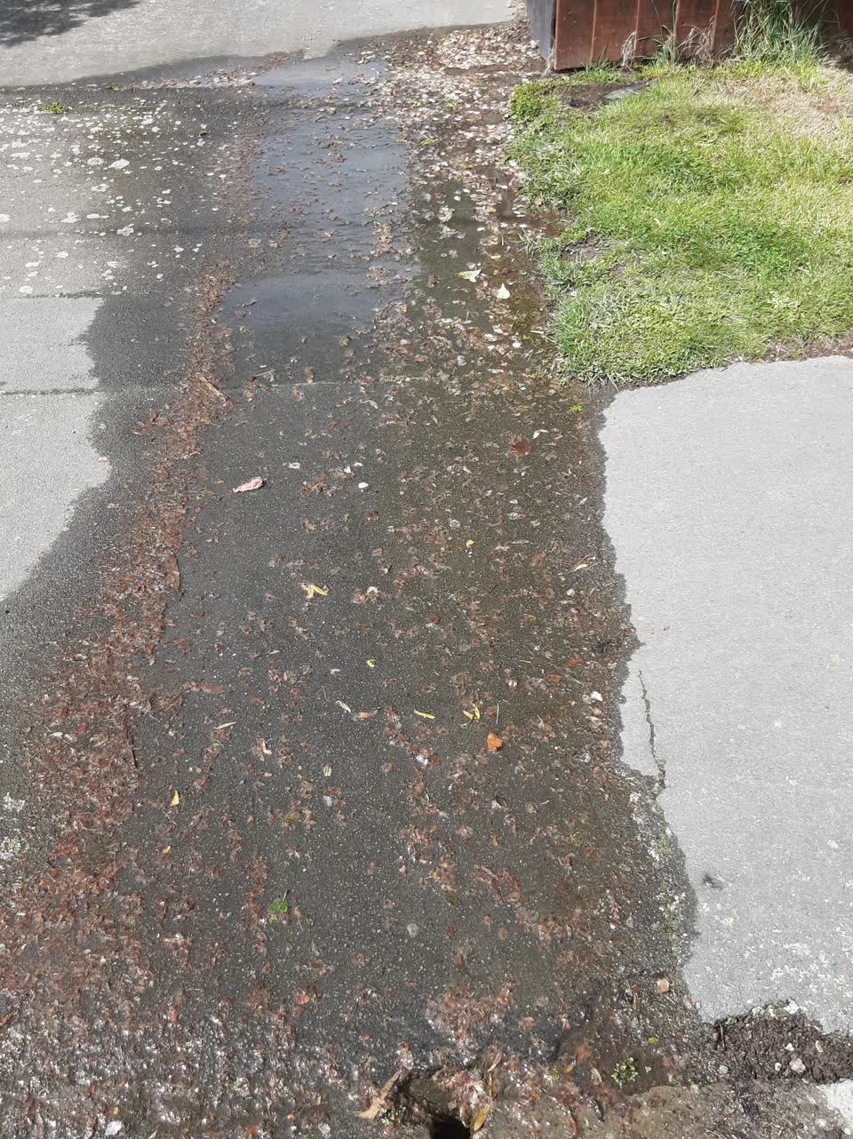 The photograph attached to this water leak report