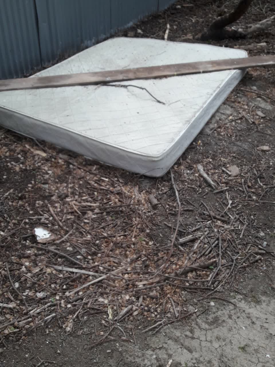 The photograph attached to this parks report