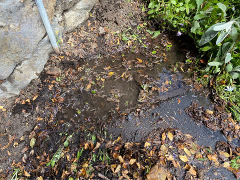Water Leak, a report photo