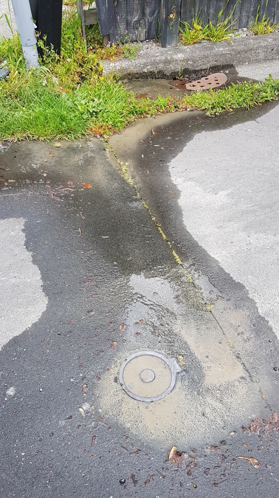 The photograph attached to this water leak report