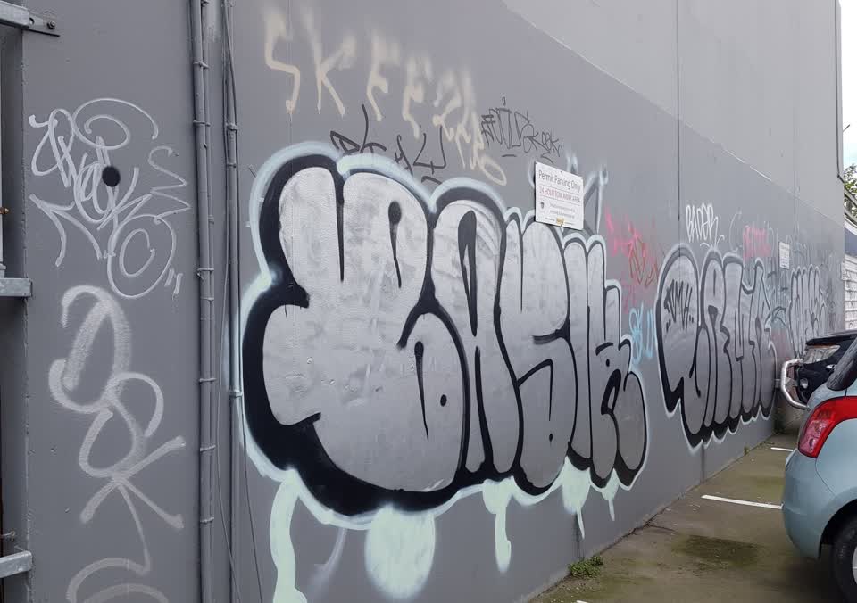 The photograph attached to this graffiti report
