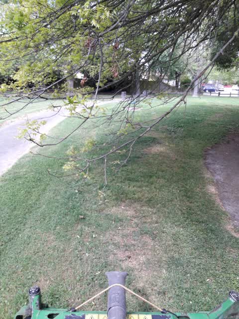 Parks, a report photo