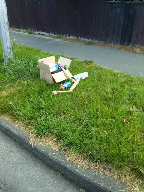 Rubbish and Bins - General — a report photo